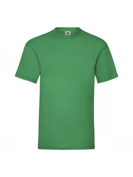t-shirt-valueweight-fruit-of-the-loom-gr-165-kelly green.jpg